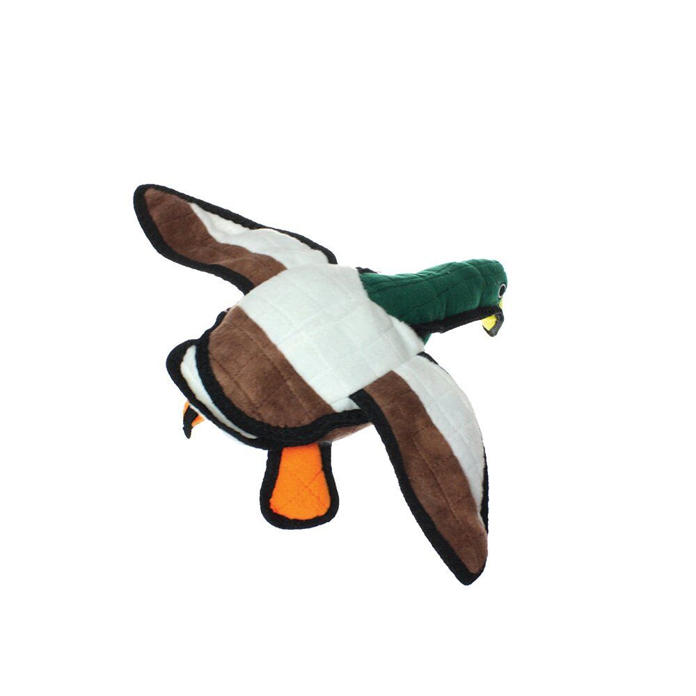 Image 6