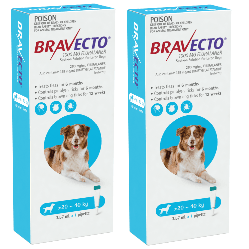 Bravecto spot outlet on 6 months