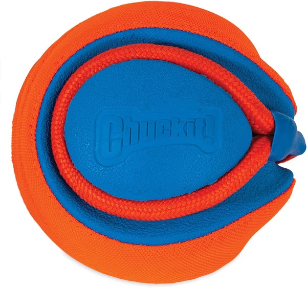 Image 4