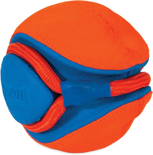 Image 5
