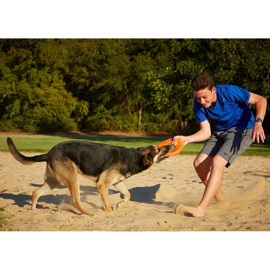 ChuckIt! Rugged Flyer Frisbee for Dog & Puppies (Chuck It)