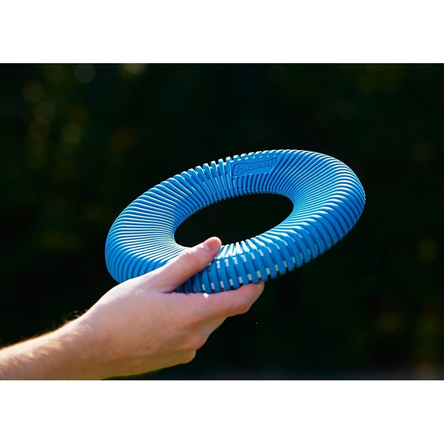 ChuckIt! Rugged Flyer Frisbee for Dog & Puppies (Chuck It)