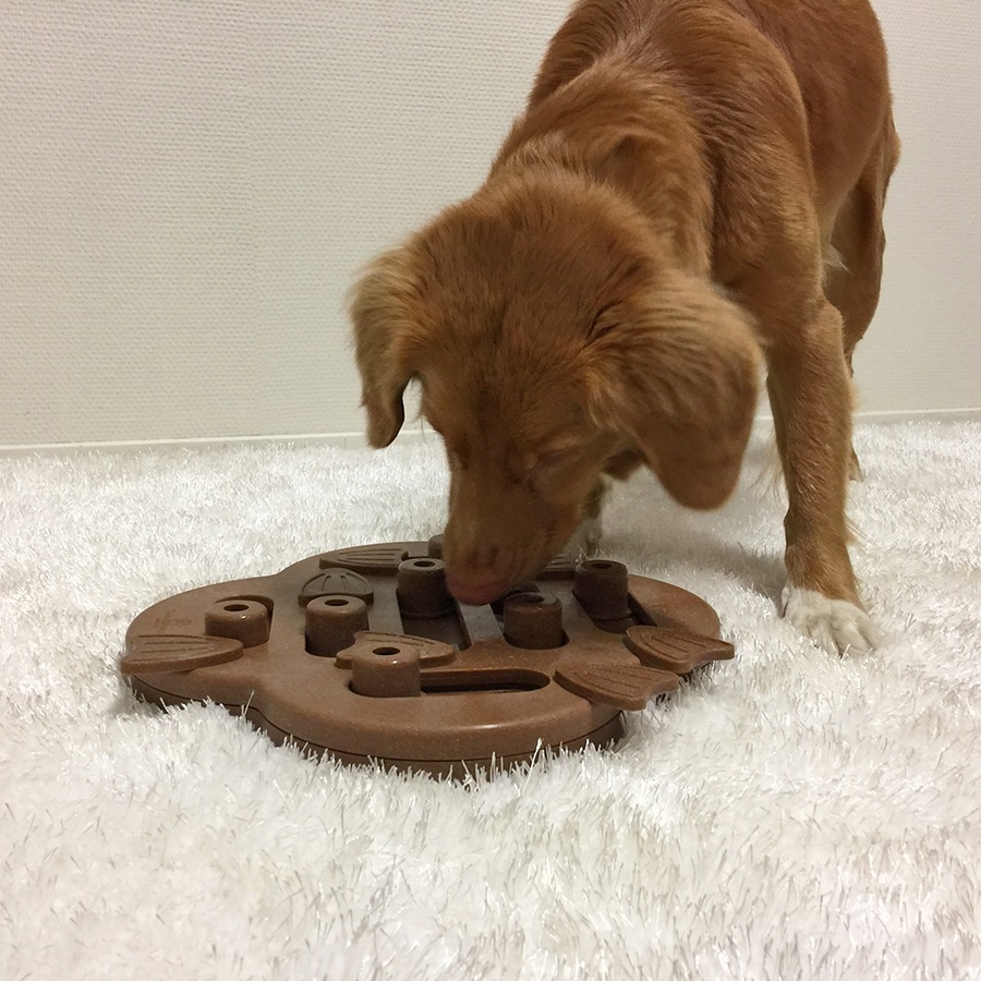 Dog Hide n' Slide Composite Plain Puzzle Game for Dogs & Puppies 33cm by Nina Ottosson (Outward Hound)