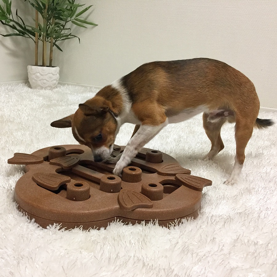 Dog Hide n' Slide Composite Plain Puzzle Game for Dogs & Puppies 33cm by Nina Ottosson (Outward Hound)