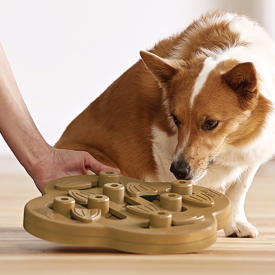 Dog Hide n' Slide Composite Plain Puzzle Game for Dogs & Puppies 33cm by Nina Ottosson (Outward Hound)