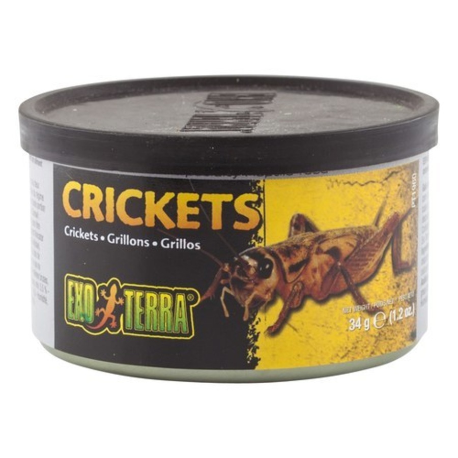 Exo Terra Small 34 gram Crickets Reptile Lizard Food