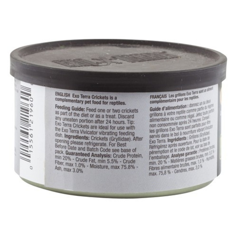 Exo Terra Small 34 gram Crickets Reptile Lizard Food