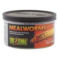 Exo Terra 34 gram Mealworms Reptile Lizard Food