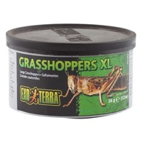 Exo Terra X-Large 34 gram Wild Grasshoppers Reptile Lizard Food ExoTerra