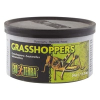 Exo Terra Small 34 gram Wild Male Grasshoppers Reptile Lizard Food ExoTerra