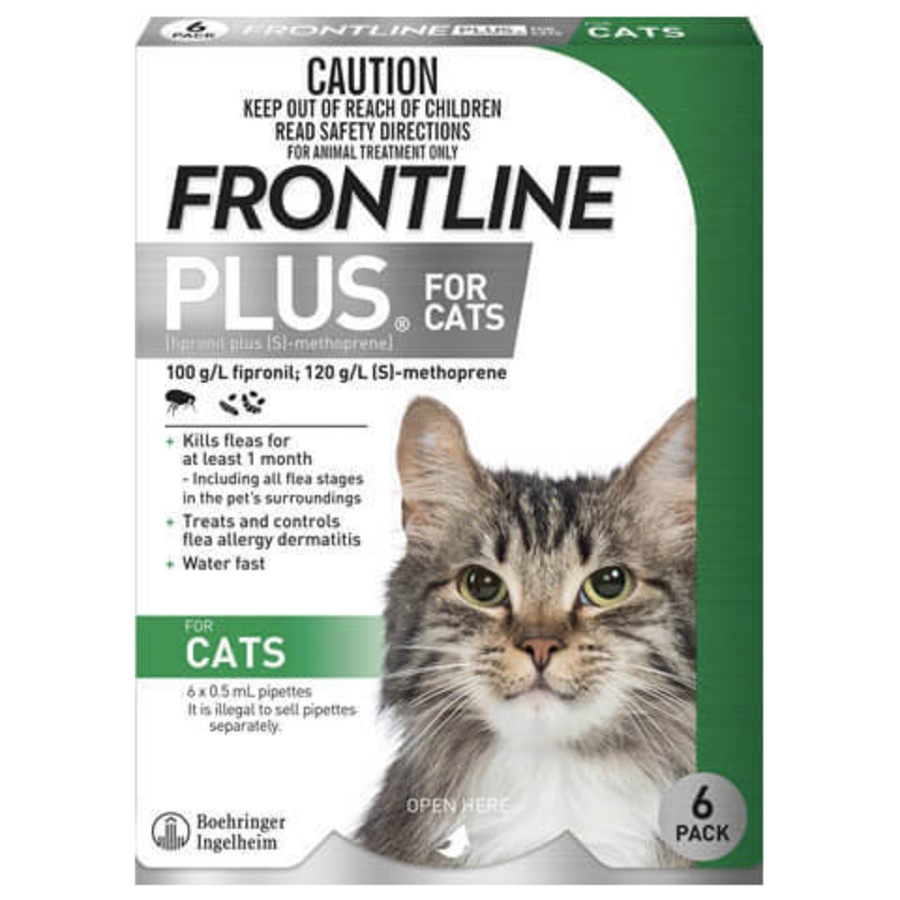 Buy Frontline Plus for Cats - 6 Pack - Green - Flea Control Topical ...