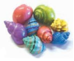 Hermit Crab Spare Shell - Painted - Large