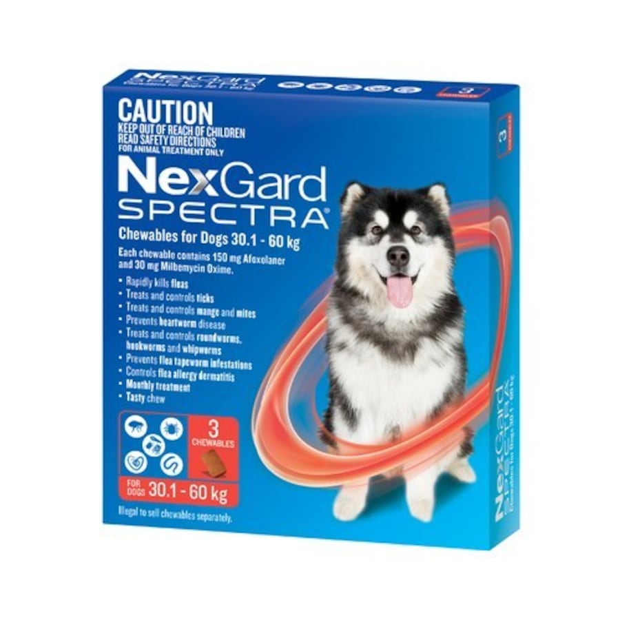 NexGard SPECTRA Flea, Tick & Heartworm for Dogs 30.1-60kg - Red - 3 Pack