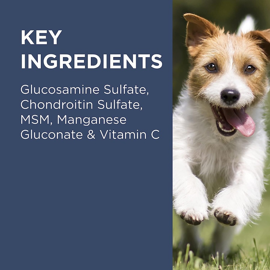 PAW Osteocare 300g Chews Joint Health Chews for Dogs Blackmores