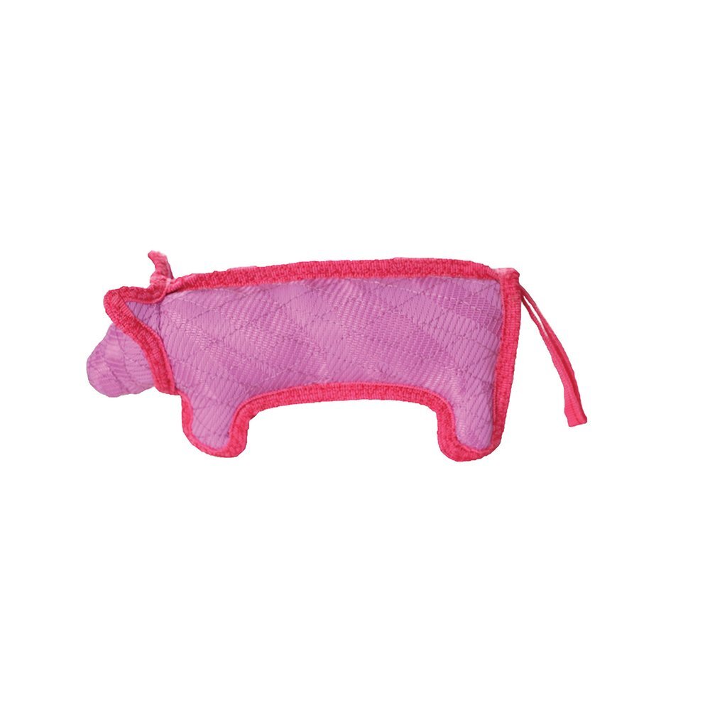 Image 7