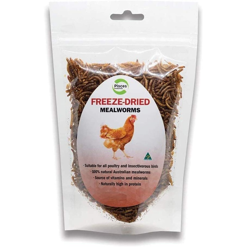 Buy FreezeDried 70 gram Mealworms for Birds, Poultry & Chickens
