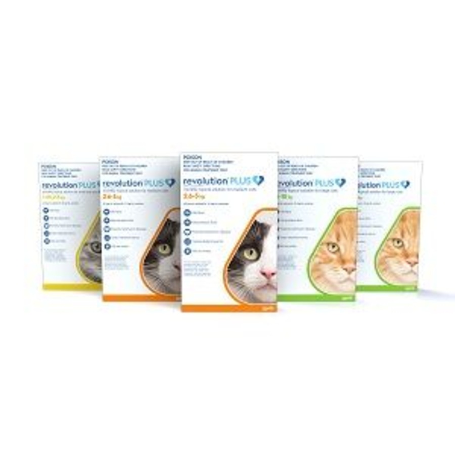 Revolution PLUS 6 Pack Orange for Medium Cats 2.5-5kg Flea, Heartworm, Tick Treatment