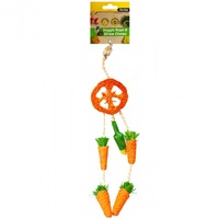Rope and Straw Hanging Dreamcatcher Veggie Chew 26cm Small Animal Dental Chew by Pet One