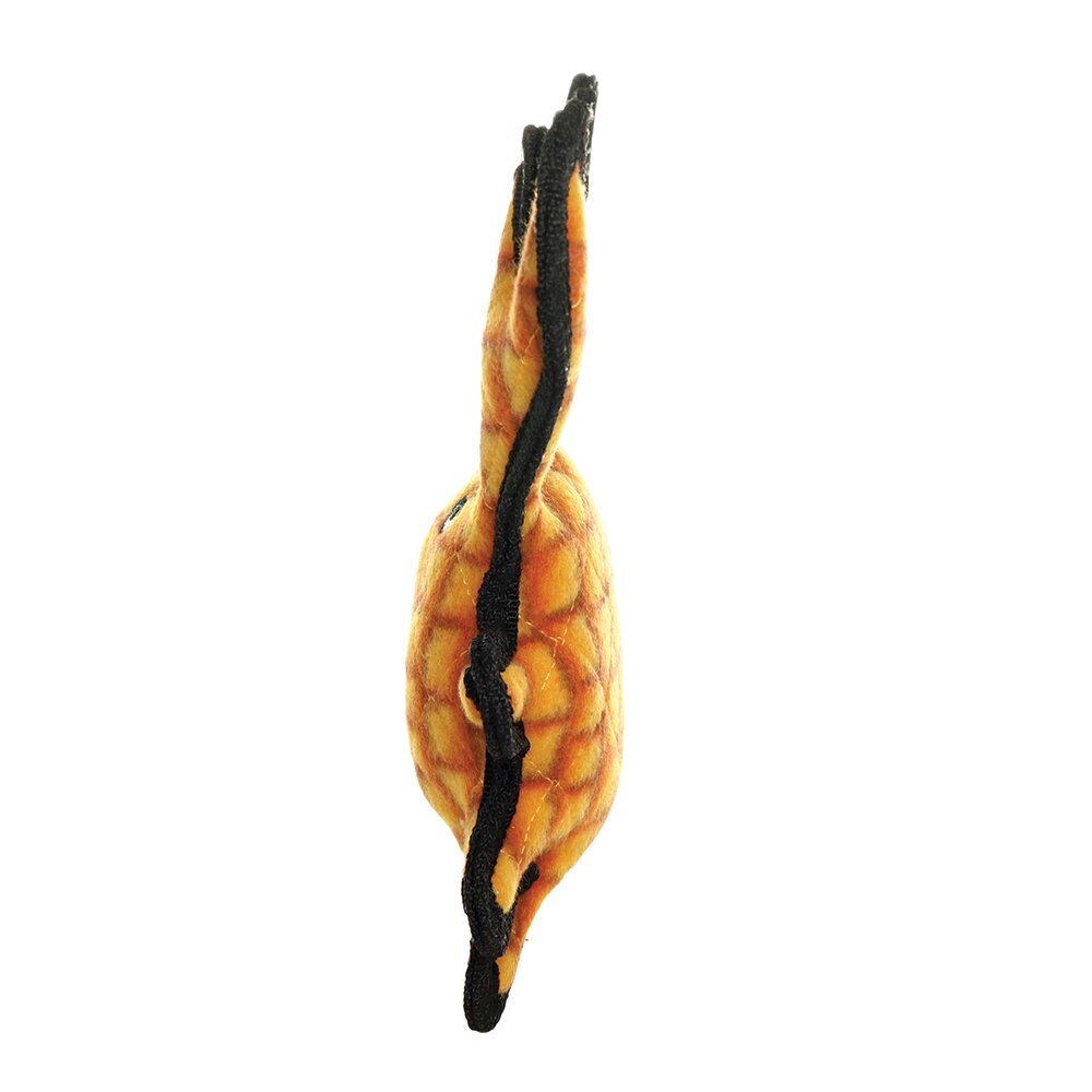 Image 9