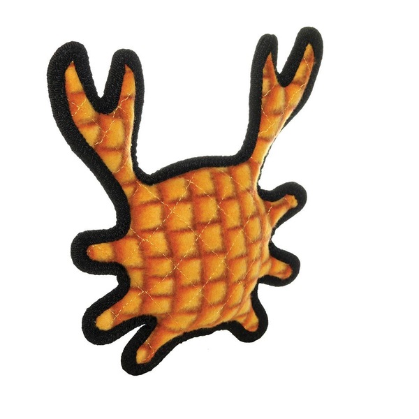 Image 10