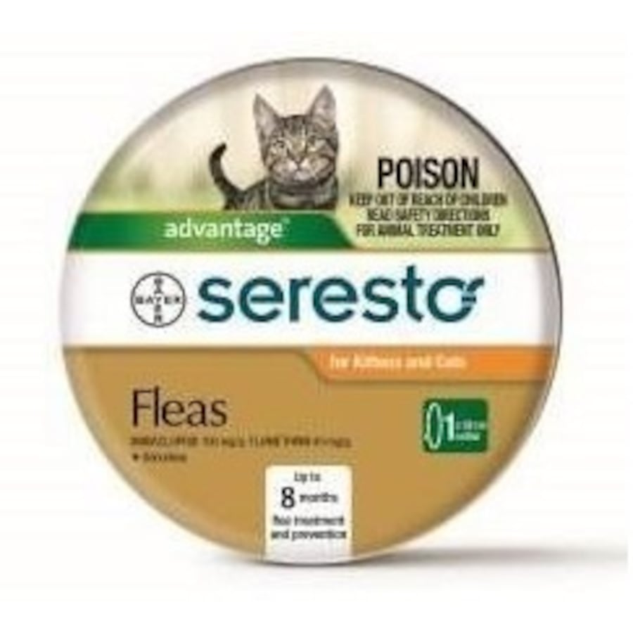 Seresto Flea & Tick Collar for Cats & Kittens - 8 Month Protection (Bayer)