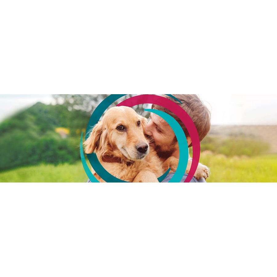 Simparica TRIO Red 6 Pack for Dogs 40.1kg to 60kg Flea, Tick & Heartworm Chew Tabs