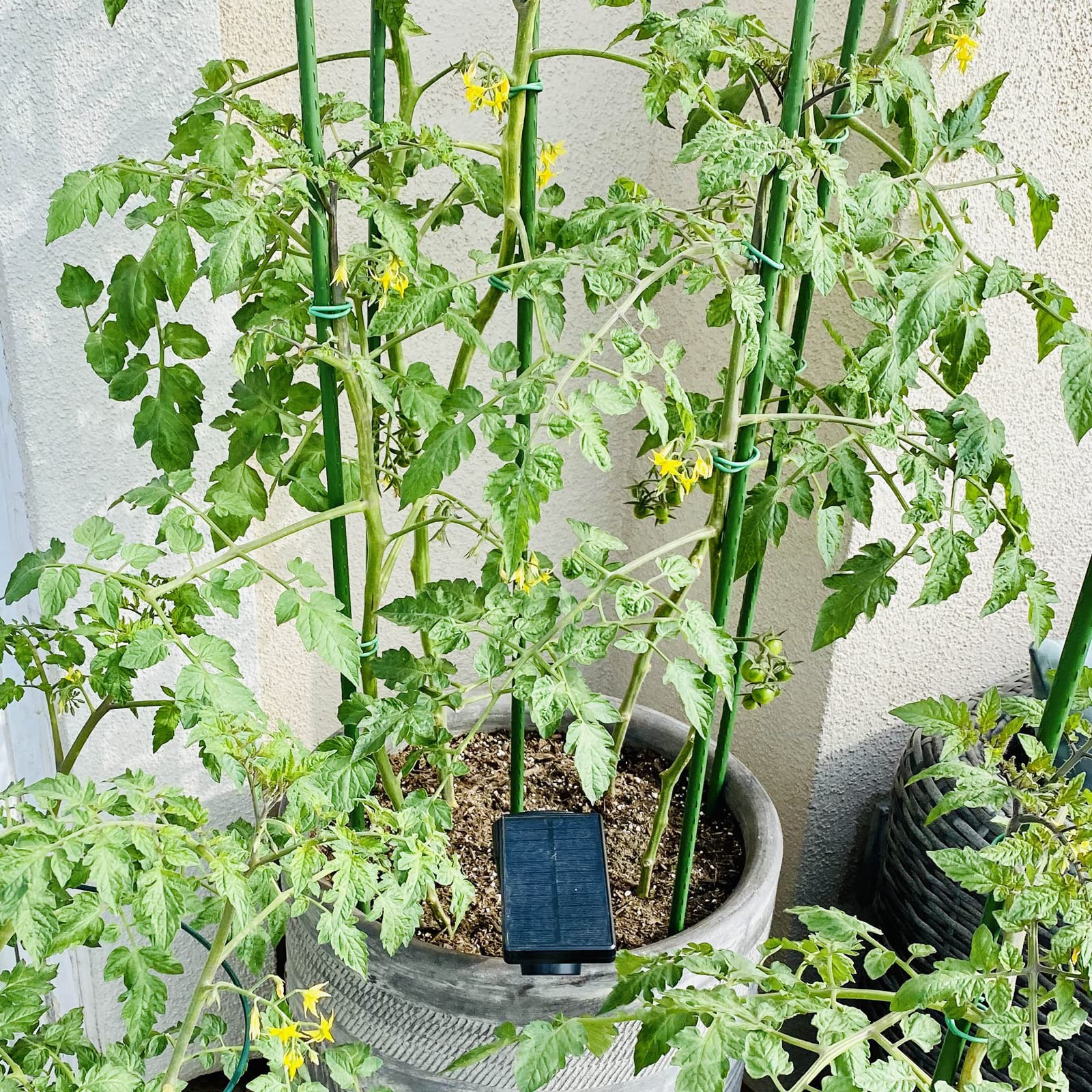 Image 5