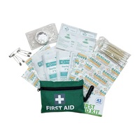 43pcs Mini First Aid Kit Emergency Medical Survivial ARTG