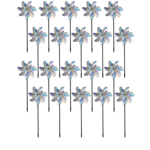 Image 7