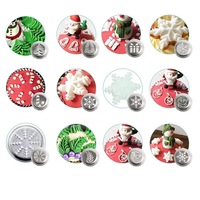 13 Pcs Set Russian Flower Icing Piping Nozzles Tips Pastry Cake Decor Tips DIY Baking Tools