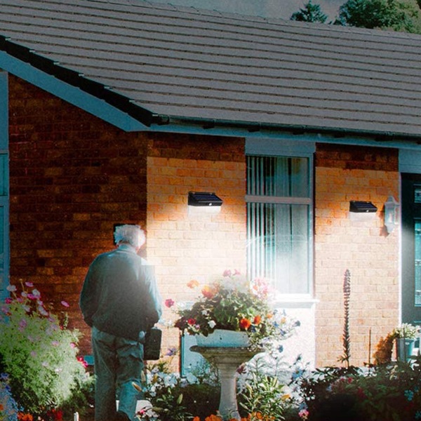 Image 11