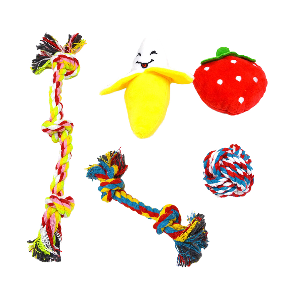 Image 5