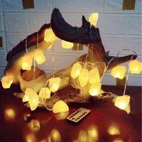 20LED Himalayan Salt String Light with Remote Control