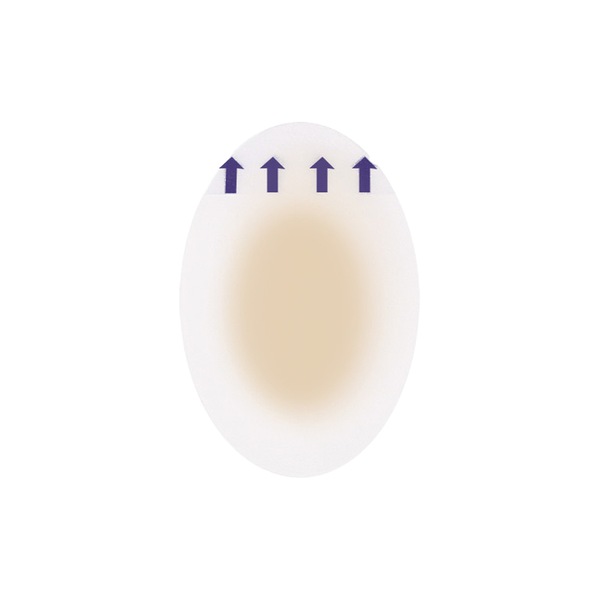Image 21