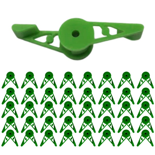 Image 20