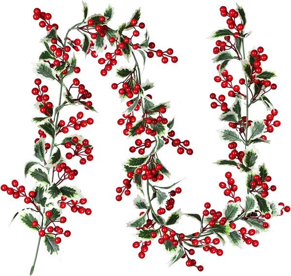 Image 22