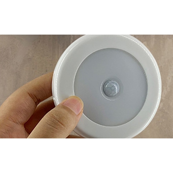 Image 8