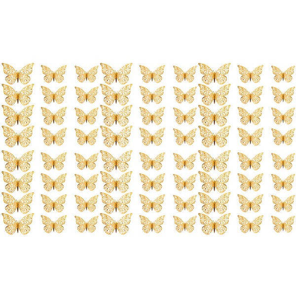 Image 16