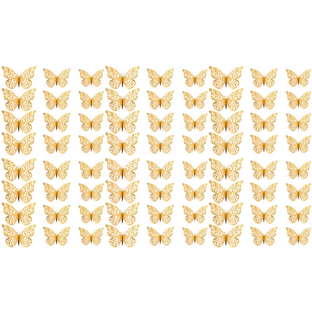 Image 16