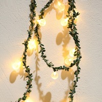 3m 20LEDs or 2m 20LEDs String Light Vine Bulbs or Flower Fairy String Light