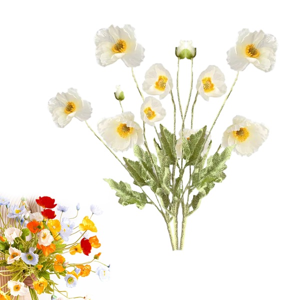 Image 20