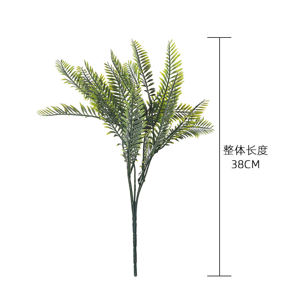 Image 13