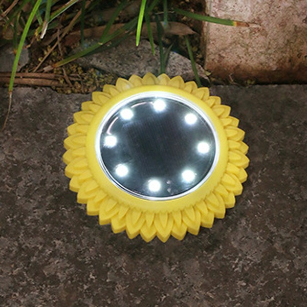 Image 8