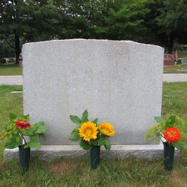 Image 13