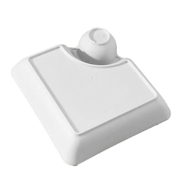 Image 12