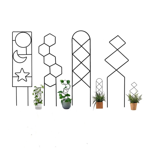 Image 12