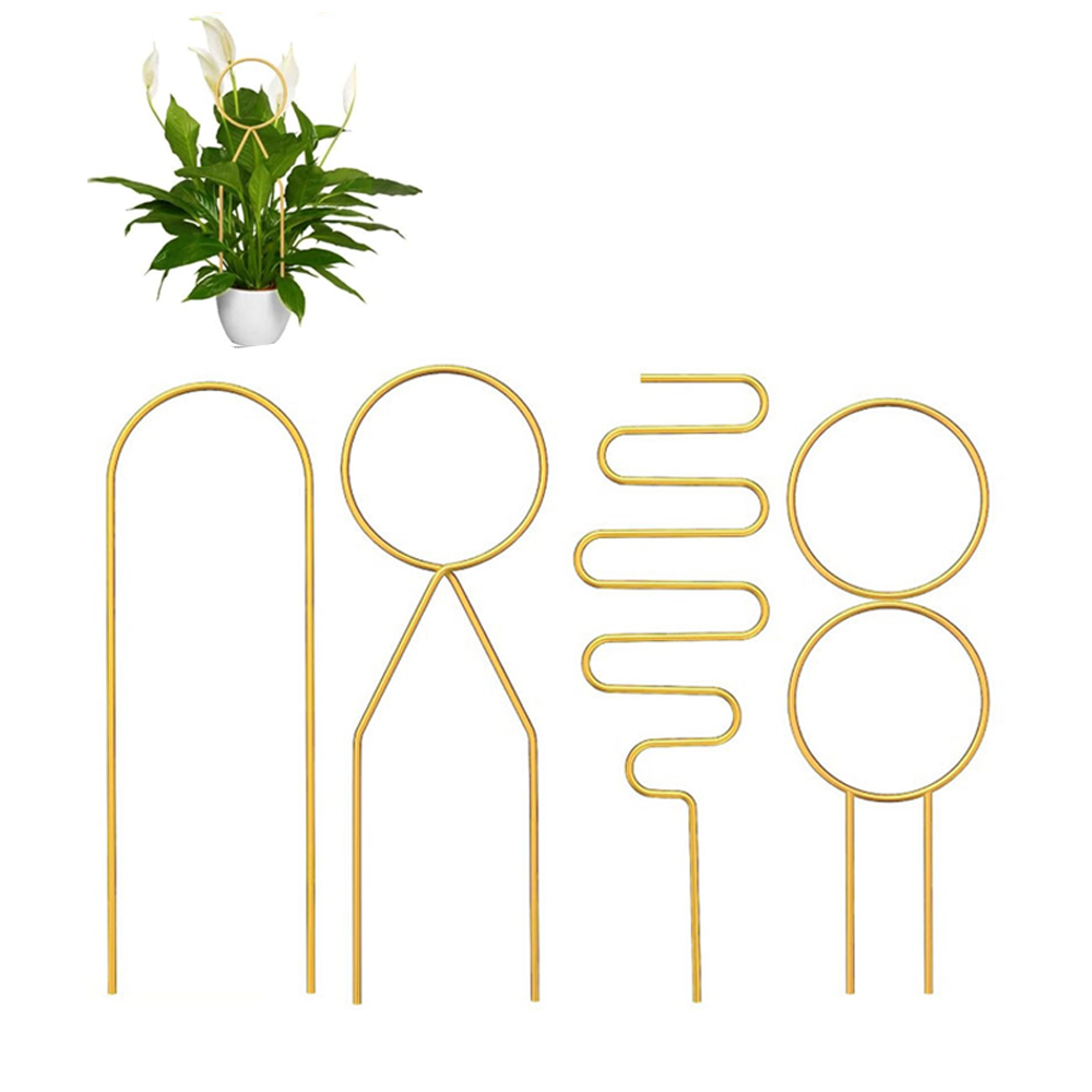 Image 21