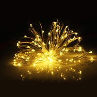 5M/10M/20M/30M Copper Wire String Lights Battery Powered String Light Waterproof Indoor Outdoor String Light