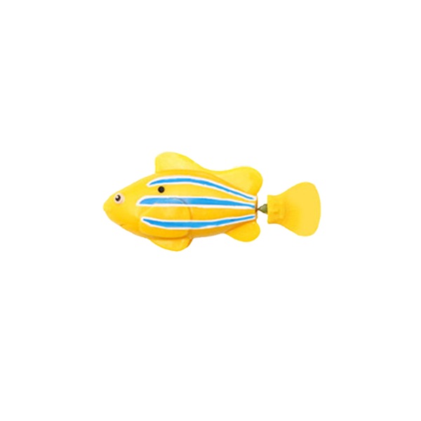 Image 11