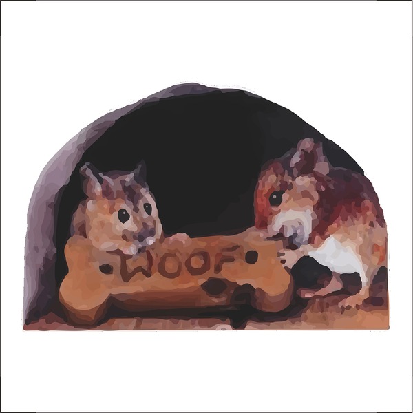 Image 5